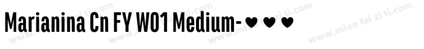 Marianina Cn FY W01 Medium字体转换